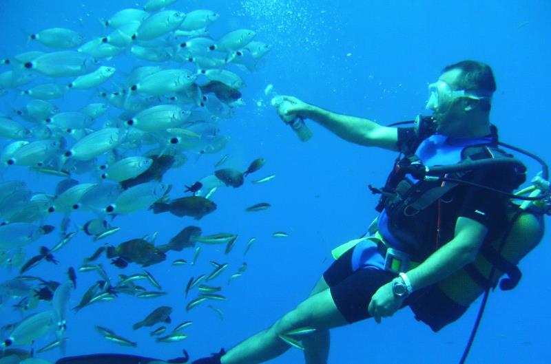 Sukellus Alanya